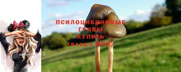 бутират Лагань
