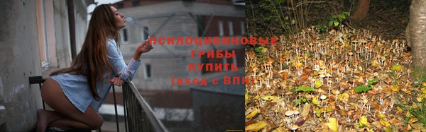 альфа пвп Липки