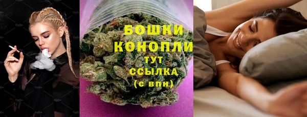 индика Орехово-Зуево