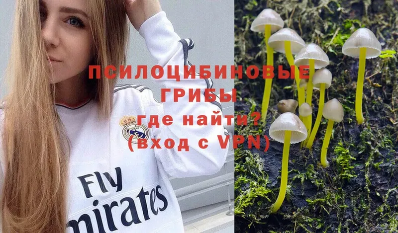 купить   omg ТОР  Галлюциногенные грибы Cubensis  Печора 