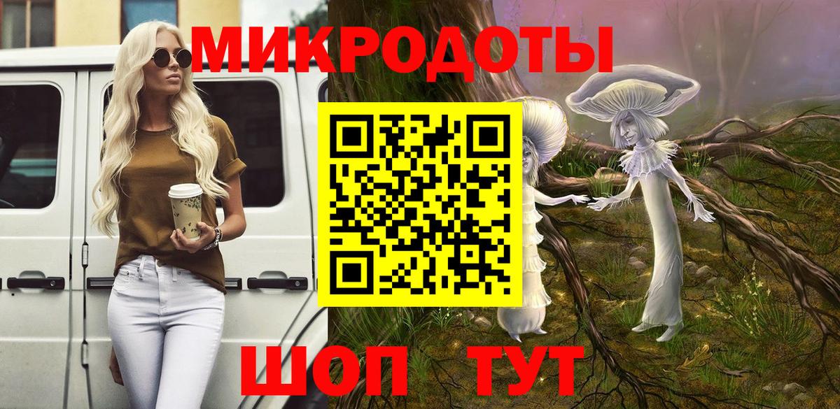 Псилоцибиновые грибы Psilocybe Печора